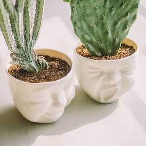 Kopf Planter Set Gesicht Planter Keramik Planter Kaktus Planter Moderne Keramik Schreibtisch Accessoires Sukkulenten Töpfe Wohnzimmer Dekor New Job Geschenk