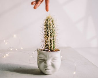 Funny Face Planter Ceramic Sculpture Head Vase Office Desk Accessories Ceramic Planter Best Friend Birthday Gift Male Coworker Gift Cactus