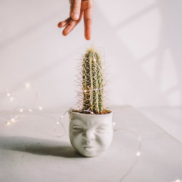 Funny Face Planter Ceramic Sculpture Head Vase Office Desk Accessories Ceramic Planter Best Friend Birthday Gift Male Coworker Gift Cactus