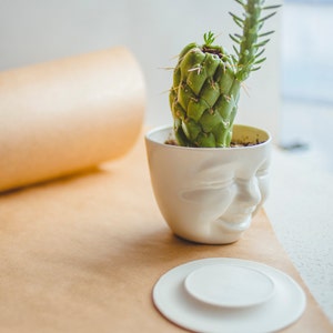 Keramik Pflanzer Sukkulenten Pflanzentöpfe Schreibtisch Accessoires Sukkulenten Dekor Gesicht Pflanzgefäß Neues Zuhause Geschenk Mitarbeiter Geschenk Moderne Keramik Kunst