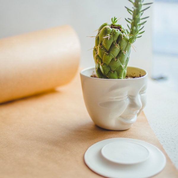 Creepy Cute Ceramic Planter Succulent Pots Office Desk Accessories Cactus Decor Face Planter New Home Gift Coworker Gift Modern Pottery Art