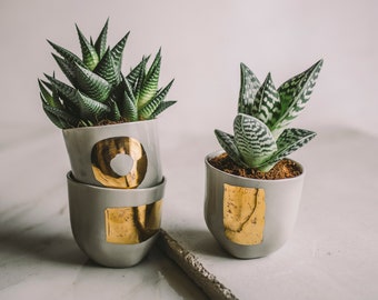 Gold Succulent Planter Set Cactus Planter Ceramic Planter Office Decor Desk Accessories Coworker Gift New Job Gift Her Hygge Succulent Pots