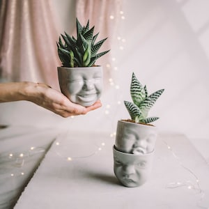 Ensemble de jardinières pour le visage, jardinière de cactus, décoration de bureau, accessoires de bureau, Pots de succulentes, jardinière en céramique, jardinière en tête, Pot de cactus, meilleur ami, anniversaire