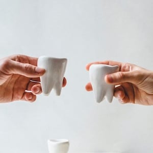 New Dentist Gift Future Dental Hygienist Gifts Dental Assistant or Medical Student Gift Ceramic Shot Glass Tooth Doctor Gift Idea - 1 Cup