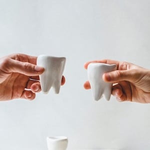 New Dentist Gift, Dental Hygienist Gifts, Dental Assistant, Dental Student Gift, Tooth Shot Glass Doctor Gift, Unique Ring Holder (1 Cup)