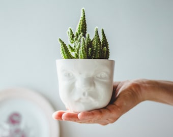Maceta con cara de gruñón: maceta de porcelana peculiar hecha a mano para suculentas