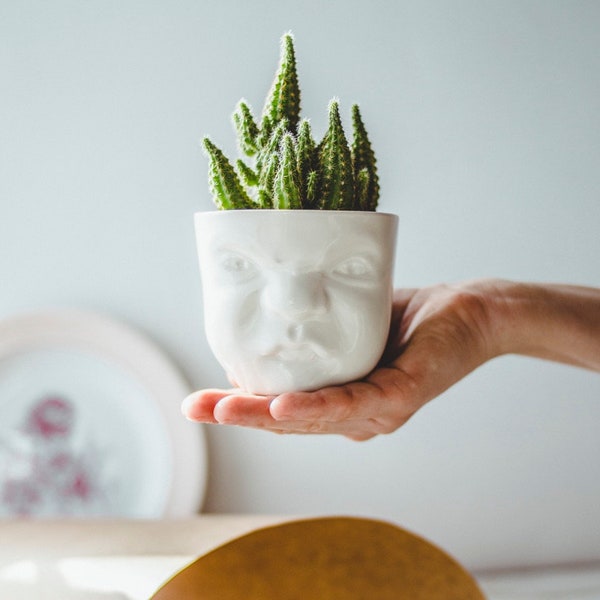 Grumpy Face Planter - Quirky Handmade Porcelain Succulent Pot