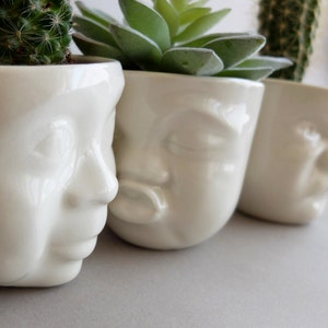 Ceramic Succulent Planter Set Succulent Pots Face Planter Head Planter Office Desk Accessories Modern Sculpture Cactus Decor New Home Gift