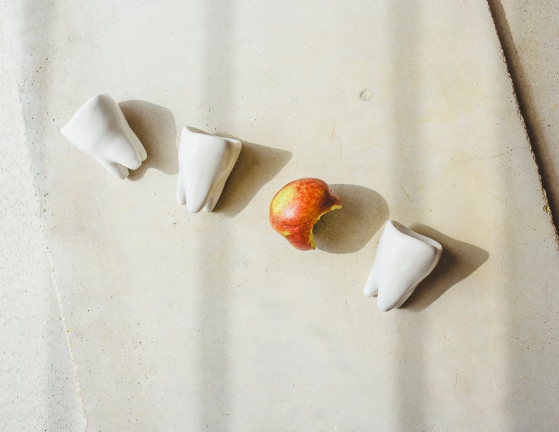 Human Tooth Shot Glass Dentist Gift Dental Assistant Hygienist Etsy