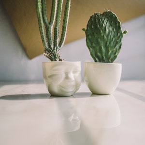 Succulent Pots Head Planter Ceramic Planter Face Planter Modern Ceramics Cactus Planter Cute Desk Accessories New Job Gift Living Room Decor image 5