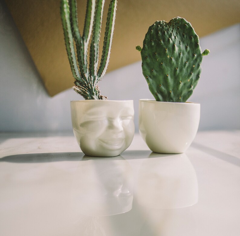 Succulent Pots Head Planter Ceramic Planter Face Planter Modern Ceramics Cactus Planter Cute Desk Accessories New Job Gift Living Room Decor image 5