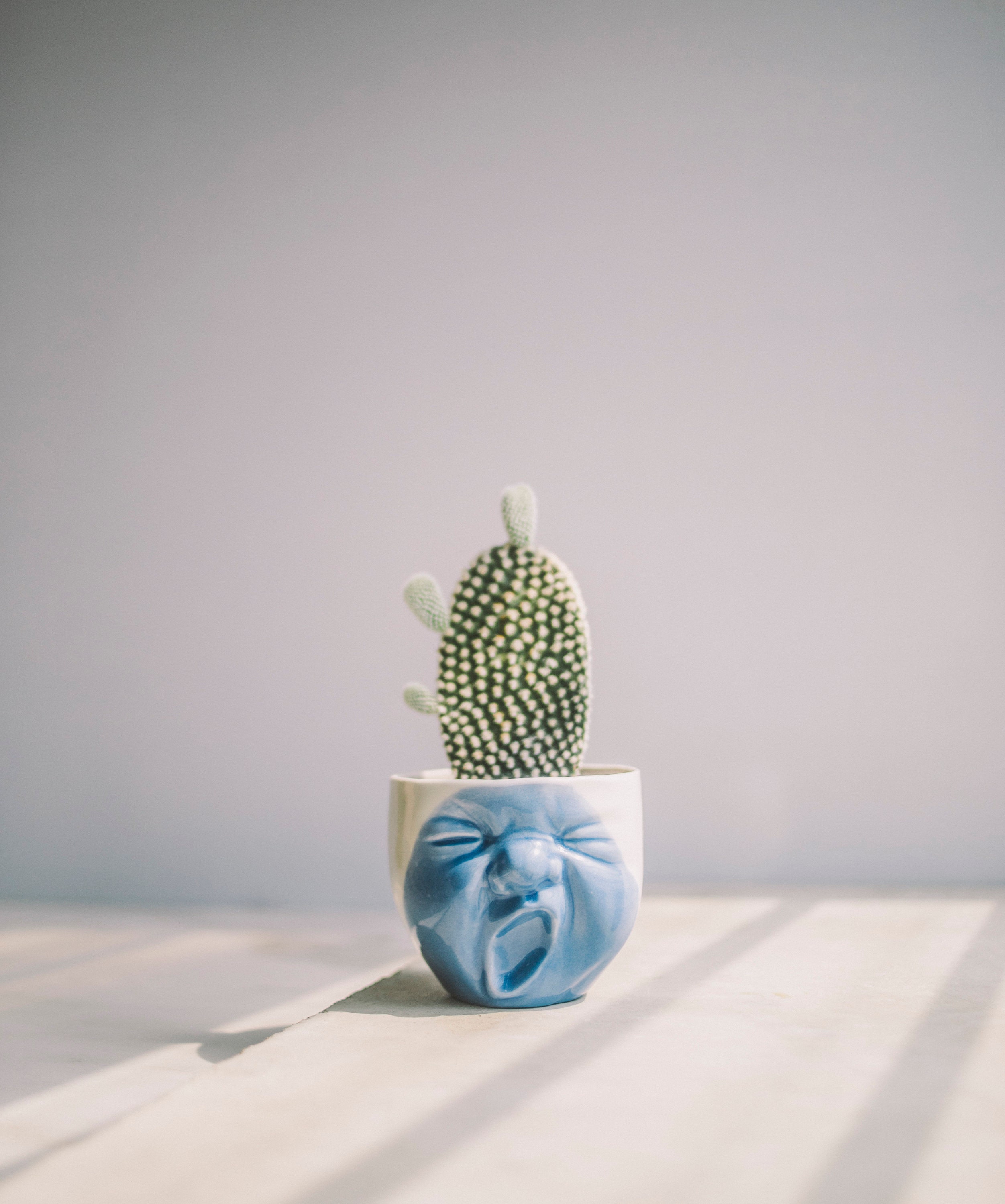 Buy Handmade Ceramic Head Planter With a Yawning Face, Cactus Planter Pot,  Pottery Planter for Succulents, Head Vase Office Decor New Home Gift Online  in India - Etsy, image size:2503x3000