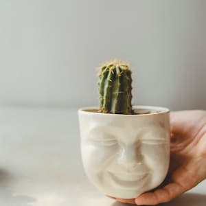 Succulent Pots Set Ceramic Planter Face Planter Housewarming Gift For Best Friend Birthday Gift Plant Pot Cute Desk Accessories New Job Gift image 2