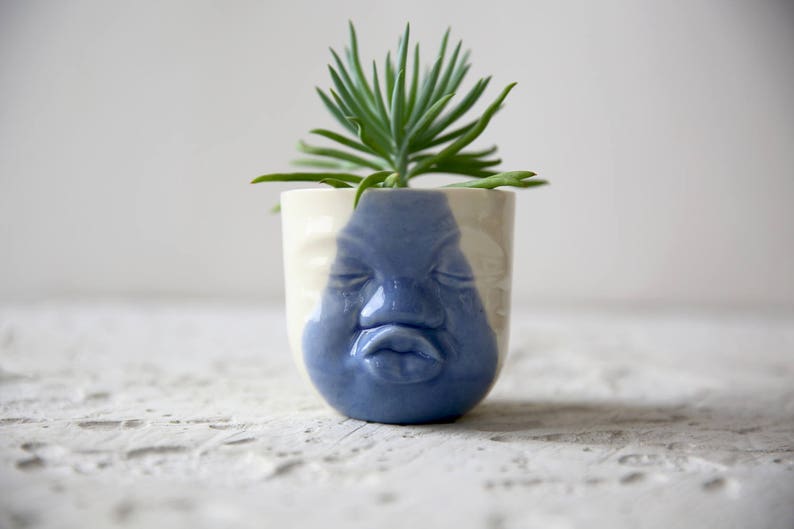 Blue And White Face Planter Ceramic Succulent Planter Modern Ceramics Head Vase Cactus Planter Cute Desk Accessories Long Distance Gift image 2