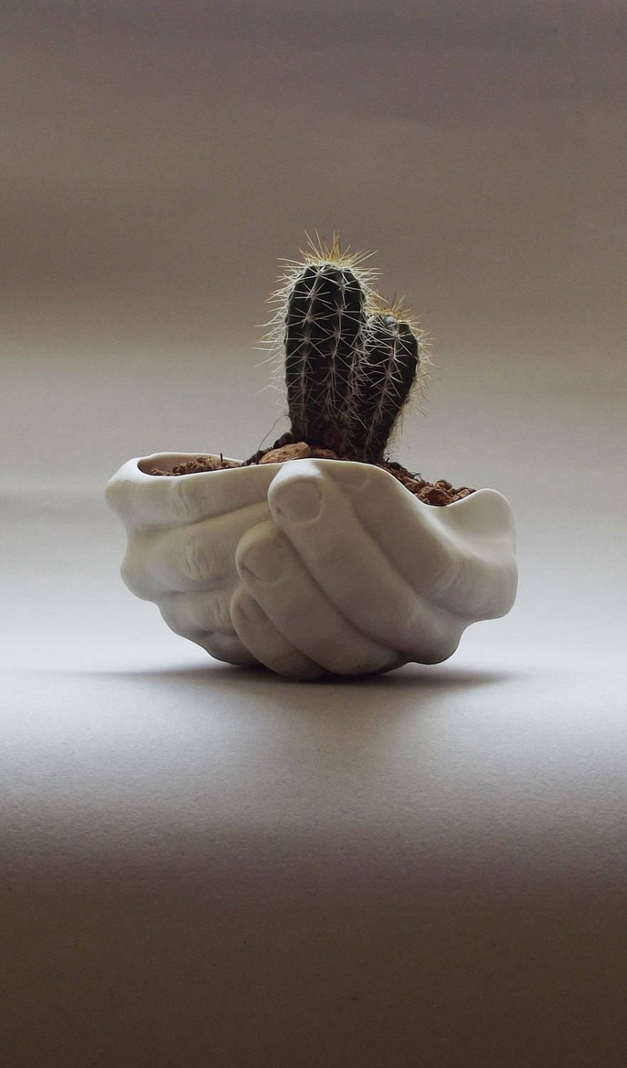 Ceramic Hand-Panit Wall Hanging Succulent Plants Pots Flower/cactus pots Holder 