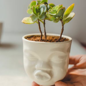 Succulent Pots Set Ceramic Planter Face Planter Housewarming Gift For Best Friend Birthday Gift Plant Pot Cute Desk Accessories New Job Gift image 6