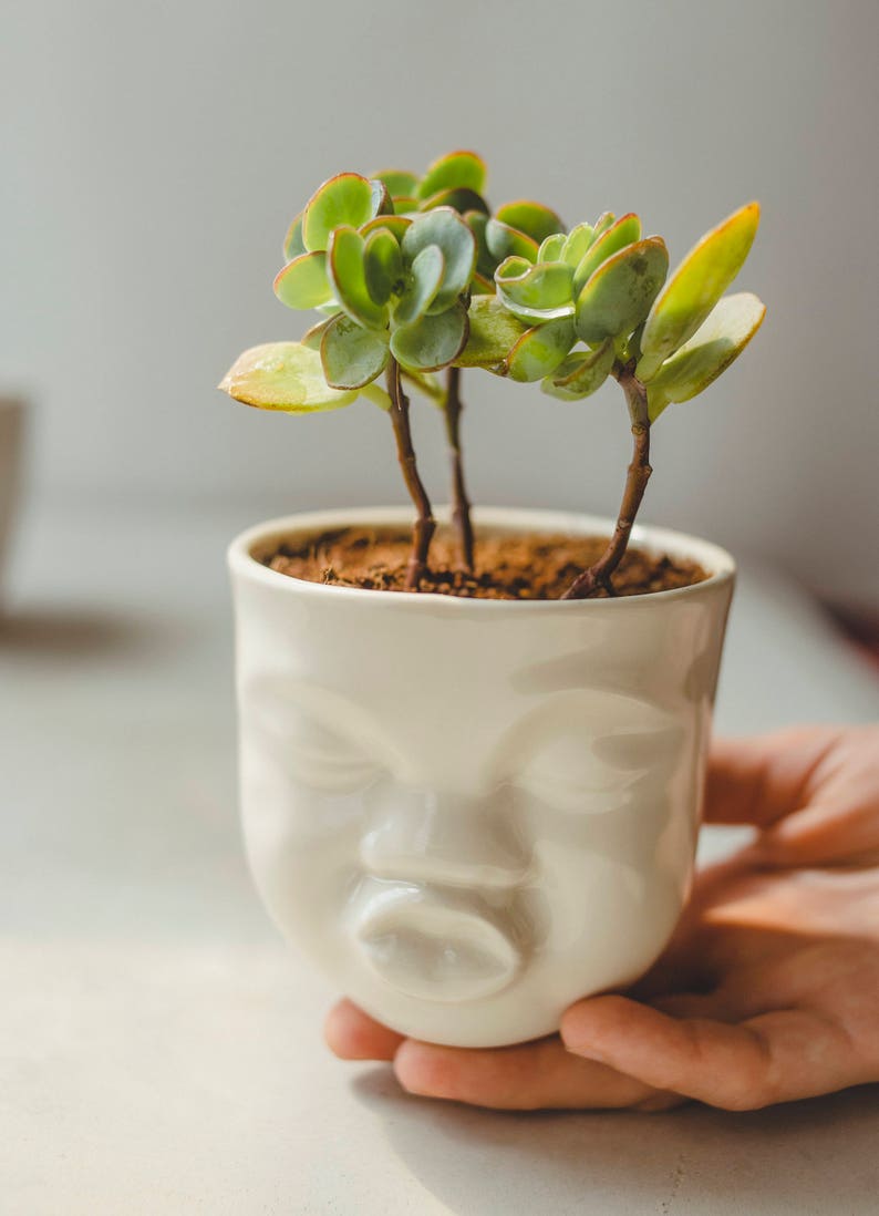 Succulent Pots Set Ceramic Planter Face Planter Housewarming Gift For Best Friend Birthday Gift Plant Pot Cute Desk Accessories New Job Gift image 6