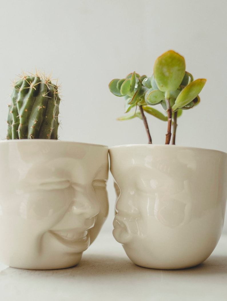 Succulent Pots Set Ceramic Planter Face Planter Housewarming Gift For Best Friend Birthday Gift Plant Pot Cute Desk Accessories New Job Gift image 10