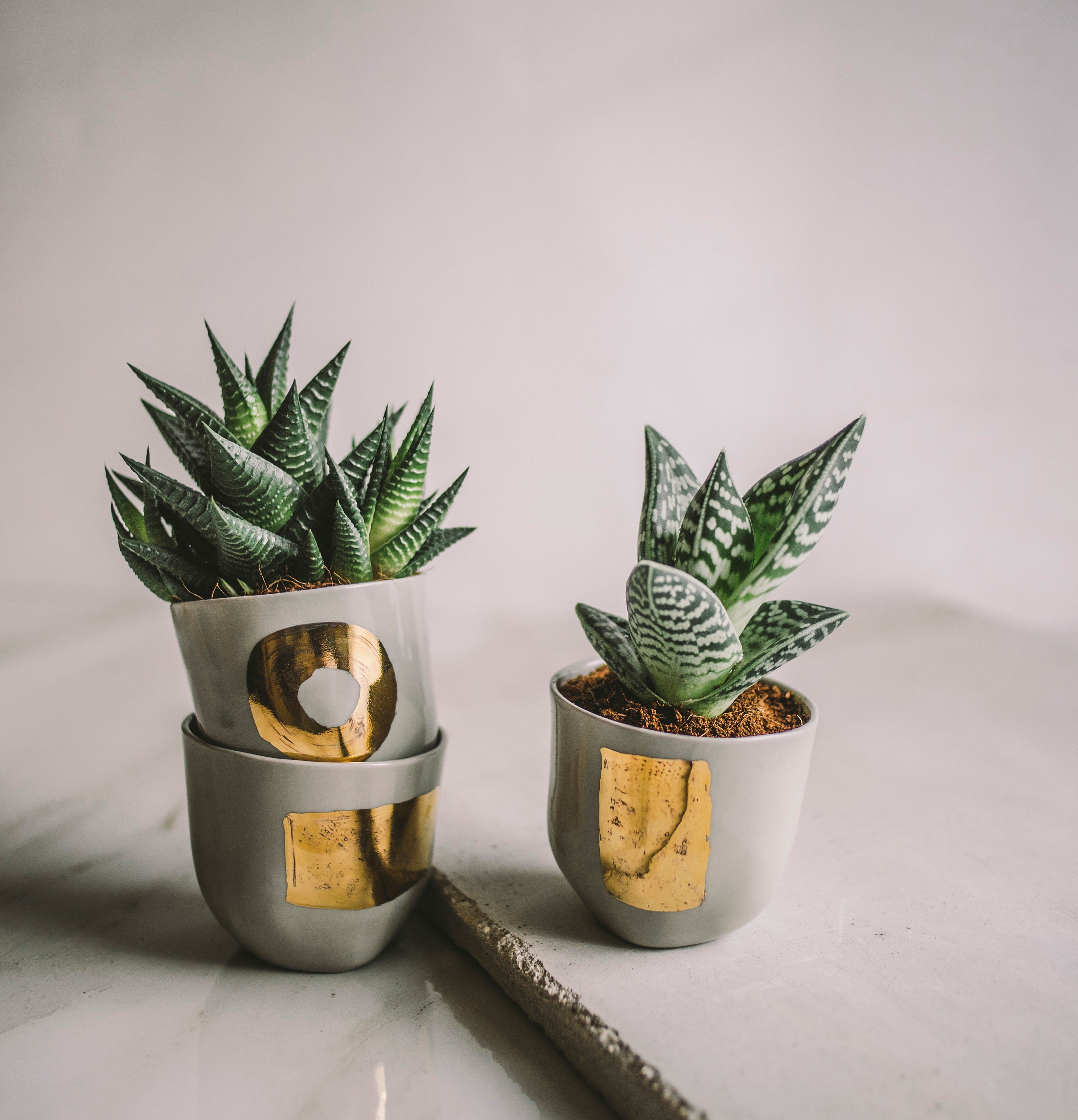 Ceramics Succulent Cactus Plant Green Glossy Glaze Pot 