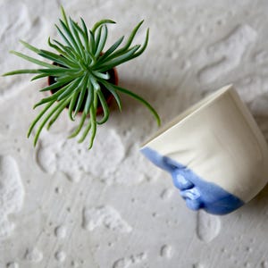 Blue And White Face Planter Ceramic Succulent Planter Modern Ceramics Head Vase Cactus Planter Cute Desk Accessories Long Distance Gift image 5