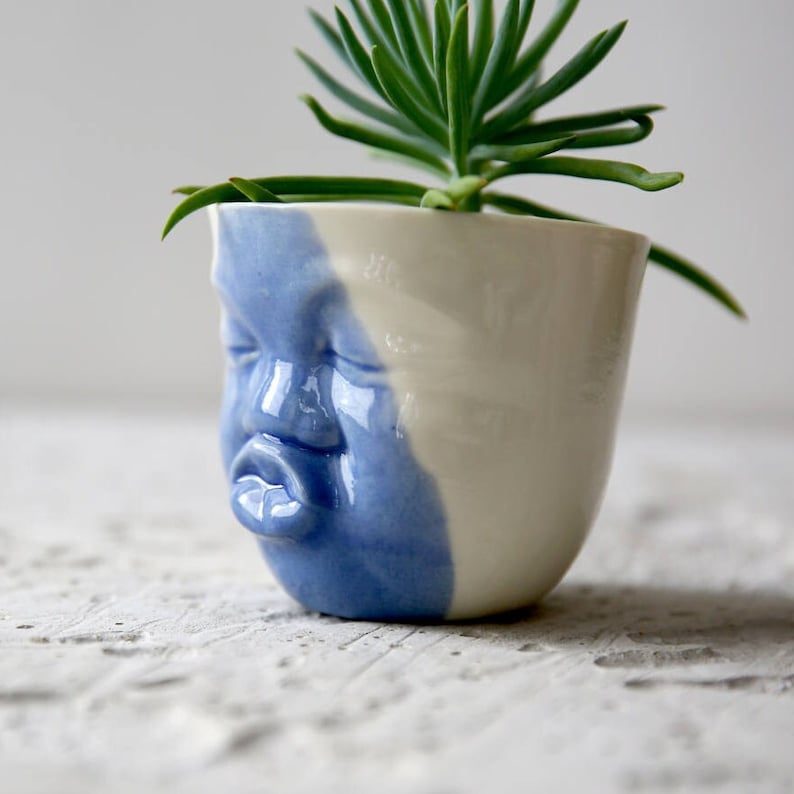 Blue And White Face Planter Ceramic Succulent Planter Modern Ceramics Head Vase Cactus Planter Cute Desk Accessories Long Distance Gift image 1