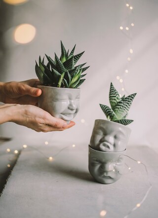 Vaso Da Fiori In Ceramica A Forma Di Viso - Design Moderno Per Piante Grasse E Cactus - Bianco Opaco 9x18 Cm