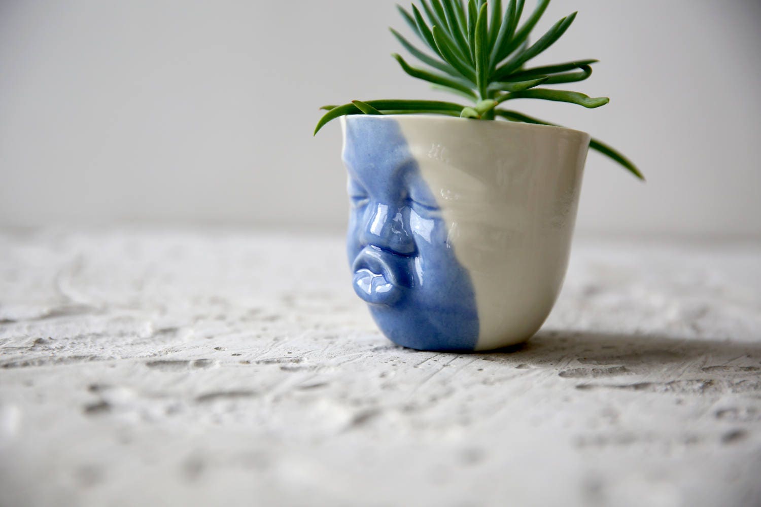 Bleu et Blanc Visage Jardinière Céramique Succulente Moderne Tête Vase Cactus Planter Mignon Accesso