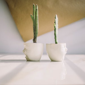 Succulent Pots Head Planter Ceramic Planter Face Planter Modern Ceramics Cactus Planter Cute Desk Accessories New Job Gift Living Room Decor image 4