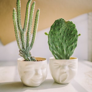 Succulent Pots Head Planter Ceramic Planter Face Planter Modern Ceramics Cactus Planter Cute Desk Accessories New Job Gift Living Room Decor image 3