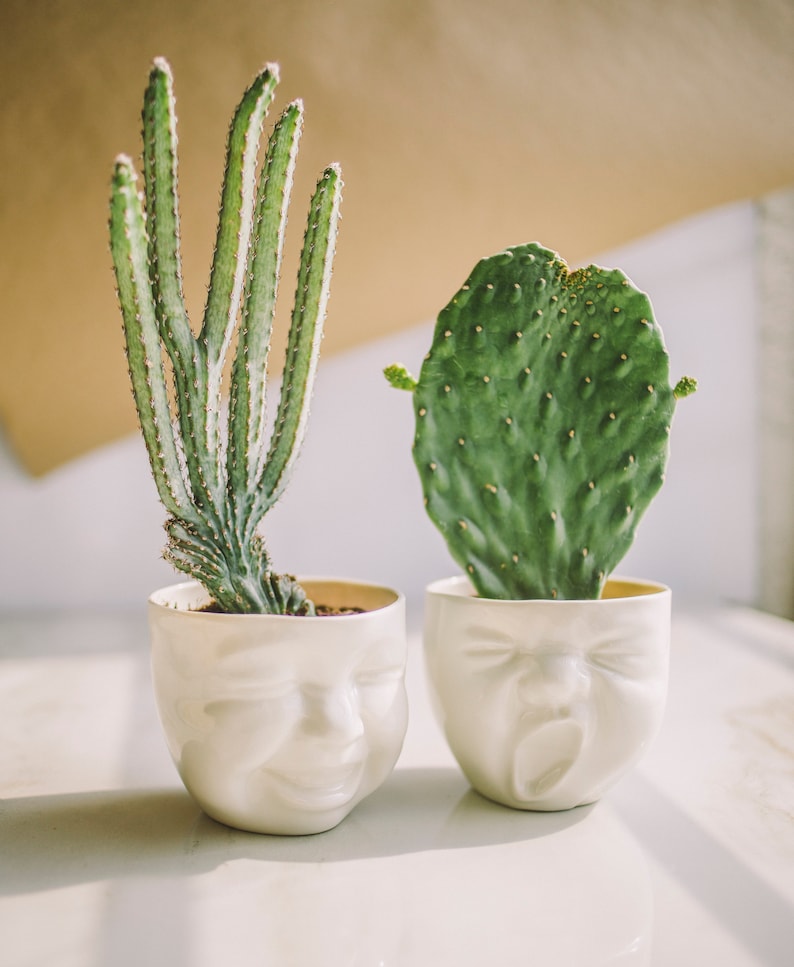 Succulent Pots Head Planter Ceramic Planter Face Planter Modern Ceramics Cactus Planter Cute Desk Accessories New Job Gift Living Room Decor image 3