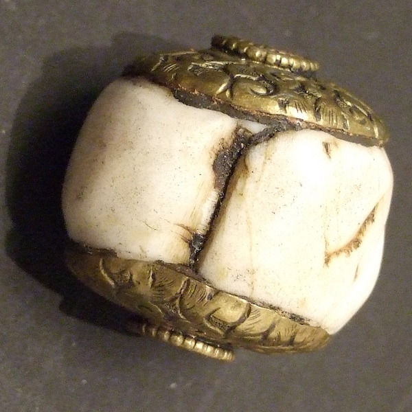 Nepal Conch Shell - Etsy