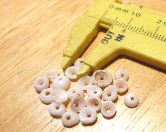 21 Puka Shells Those Shown in Photo. Etsy