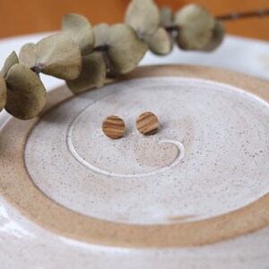 Circle Studs in Olivewood Wood Wooden Earrings Titanium Post Hypoallergenic Jewelry Jewellery Faux Plugs image 2