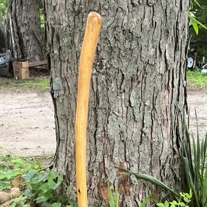 Handcrafted Hickory Wood Walking Stick, Hiking Stick, Staff, Trekking Pole, Prop Made in the Hills of Kentucky, 5225, 43.75 inches