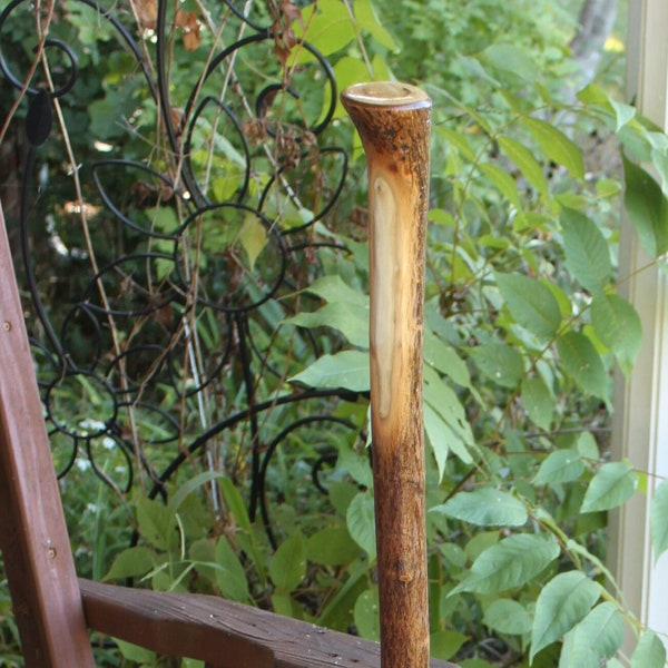 Poplar Wood Walking Stick, Hiking Stick, Staff, Trekking Pole, Gentlemens Cane by Kentucky Naturally, Item 791, 42 inches
