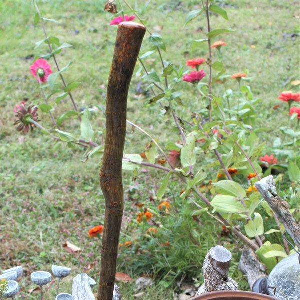 Hickory Wood Walking Stick, Staff, Cane, Hiking Stick, Gentlemens Cane made at Kentucky Naturally, Item 660, 37.5 inches