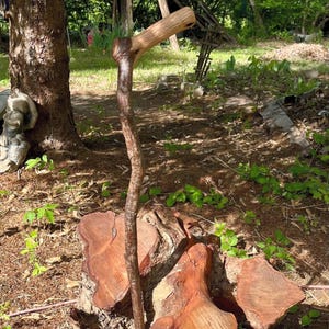 Red Oak Wood Cane with Natural Handle, Short Staff, Walking Stick, Hiking Stick, Made At Kentucky Naturally, 42125, 33.5 inches