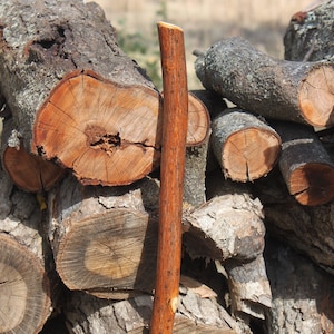 Seasoned Hickory Wood Staff, Walking Stick, Hiking Stick, Trekking Pole made at Kentucky Naturally, Item 803, 49 inches