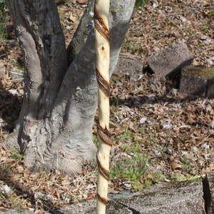 Twisted Sweet Gum Wood Walking Staff, Hiking Stick, Walking Stick, Trekking Pole, Staff, Cane by Kentucky Naturally, Item 738, 56.5 inch image 7