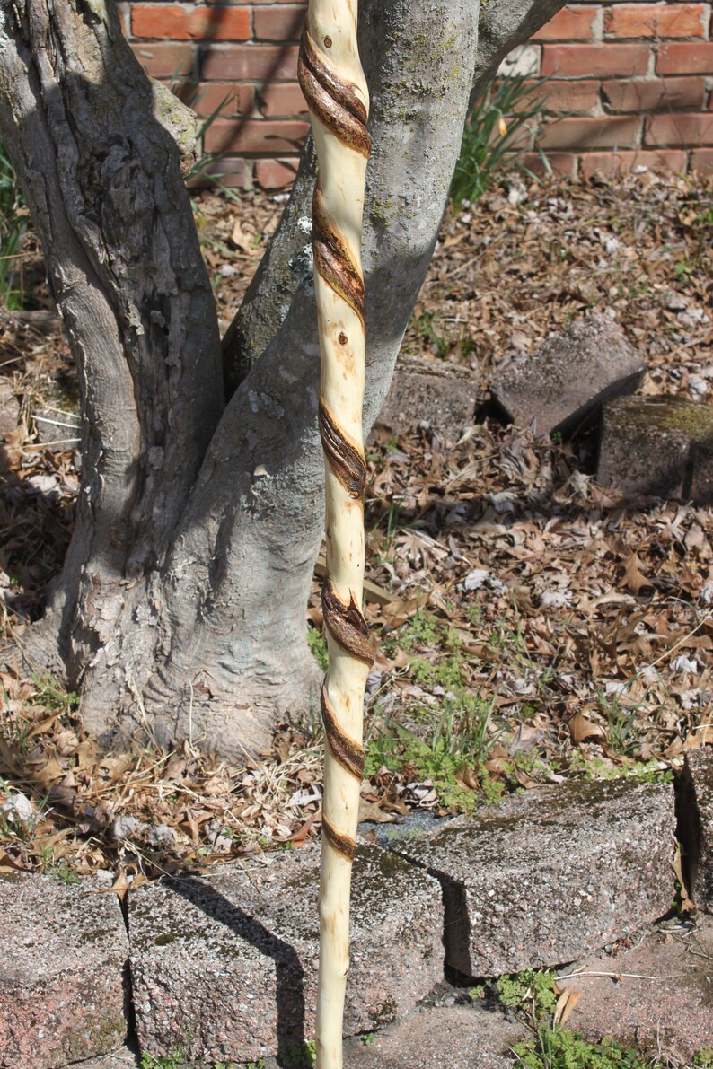 Twisted Sweet Gum Wood Walking Staff, Hiking Stick, Walking Stick, Trekking Pole, Staff, Cane by Kentucky Naturally, Item 738, 56.5 inch image 7