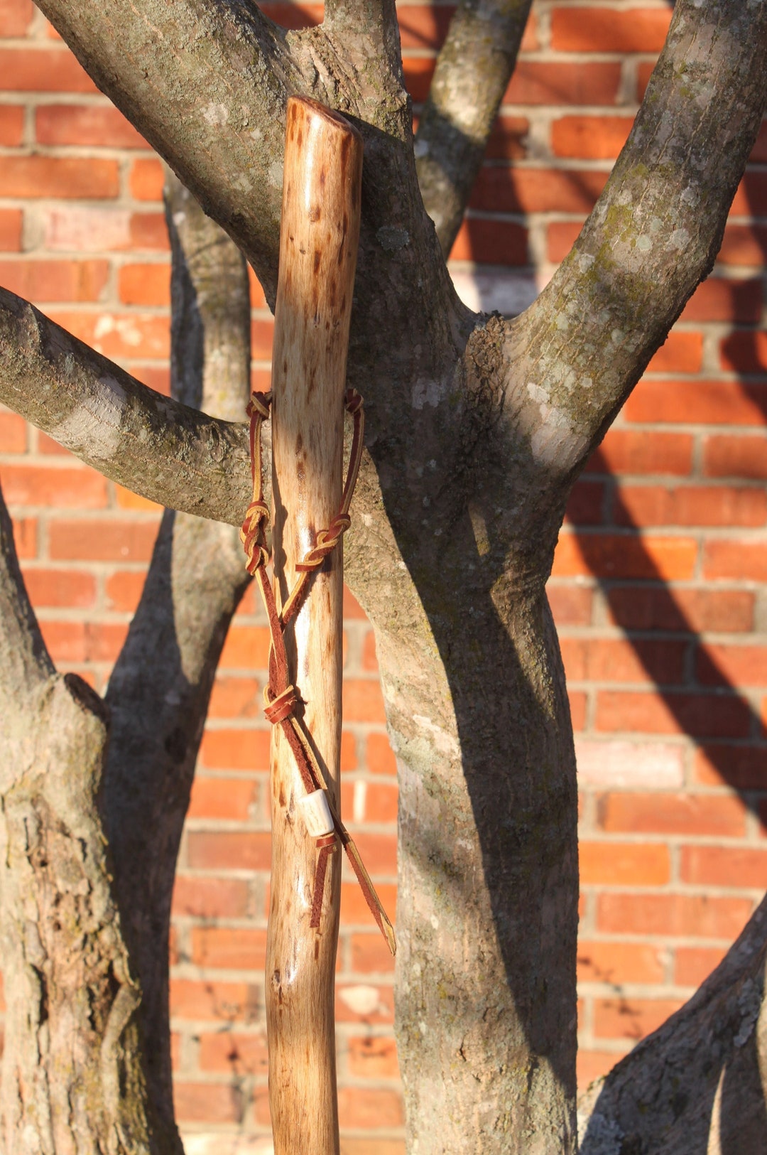 Natural Sweet Gum Wood Walking Stick Trekking Pole Etsy