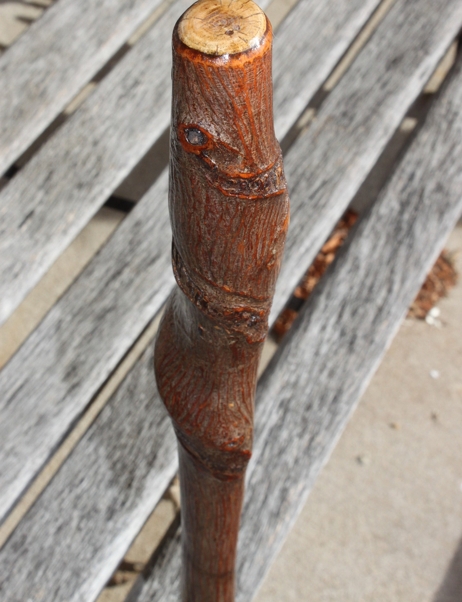 Twisted Hickory Wood Walking Stick Staff Cane Shillelagh Etsy