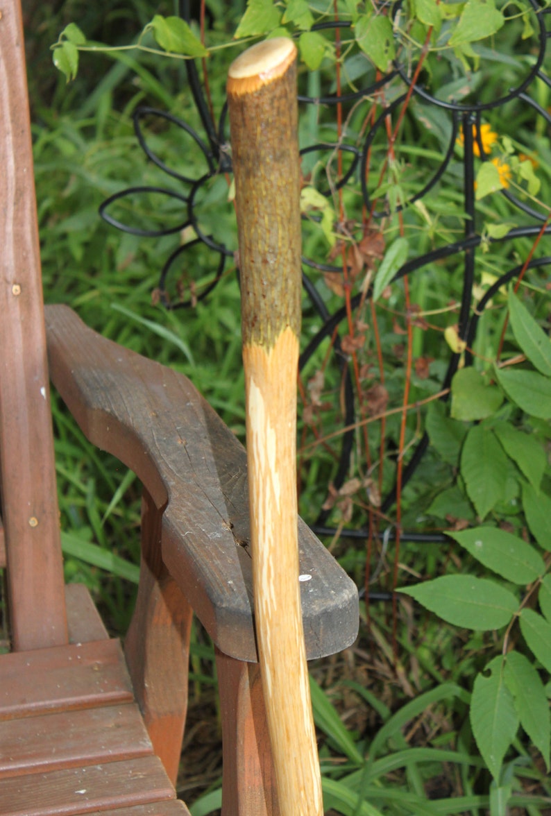 Handcrafted Hickory Wood Cane Shillelagh Walking Stick Etsy