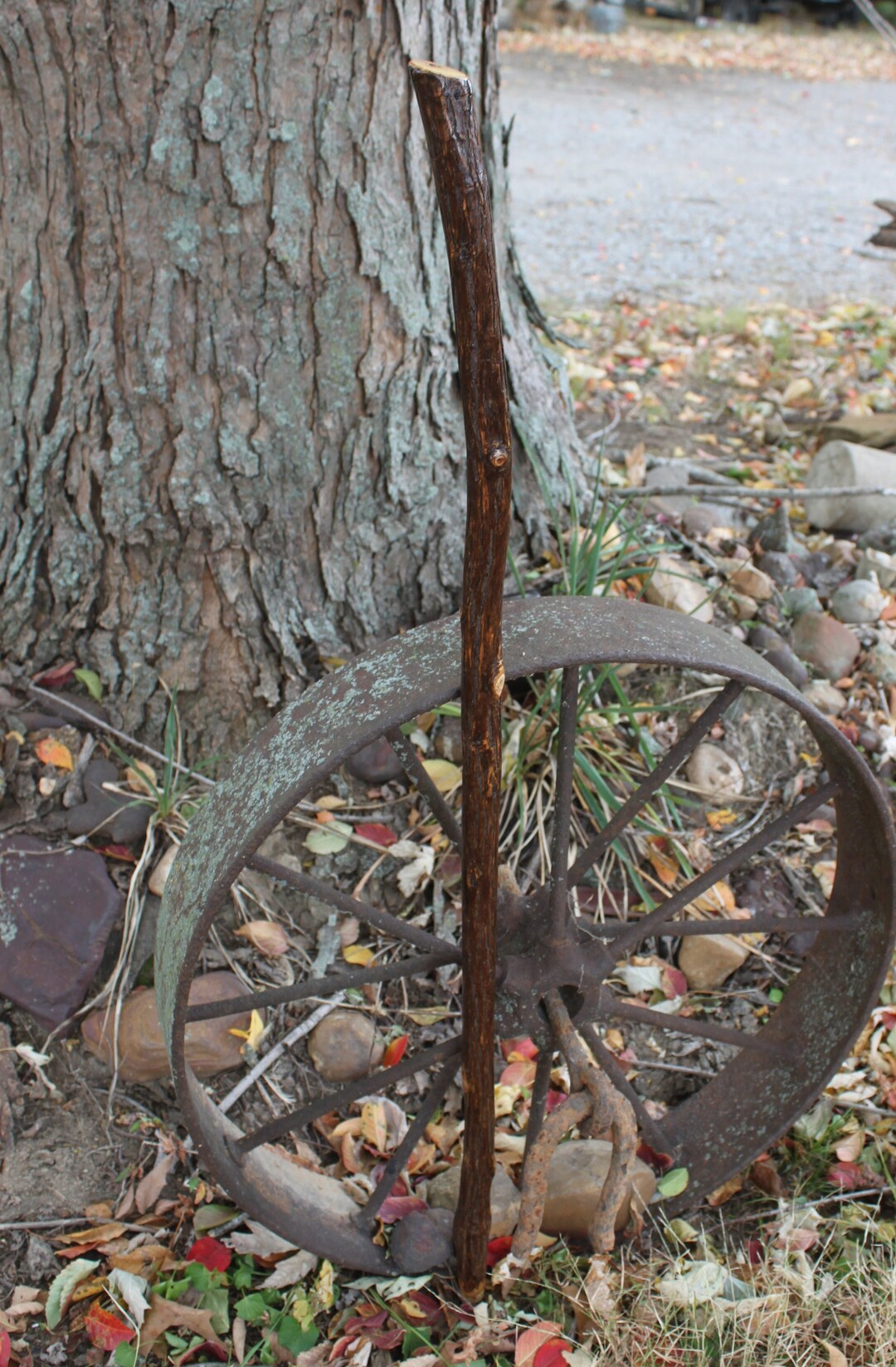 Seasoned Hickory Wood Walking Stick Staff Cane Hiking Etsy