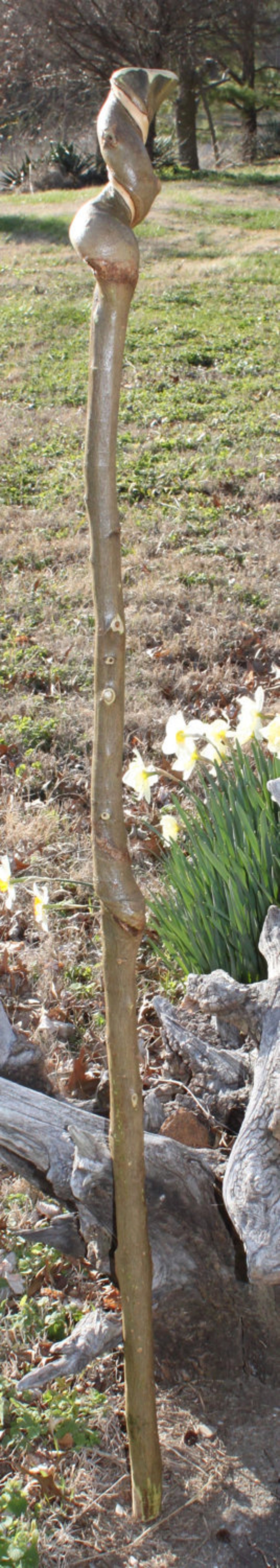 Twisted Hackberry Wood Walking Stick Trekking Pole Etsy