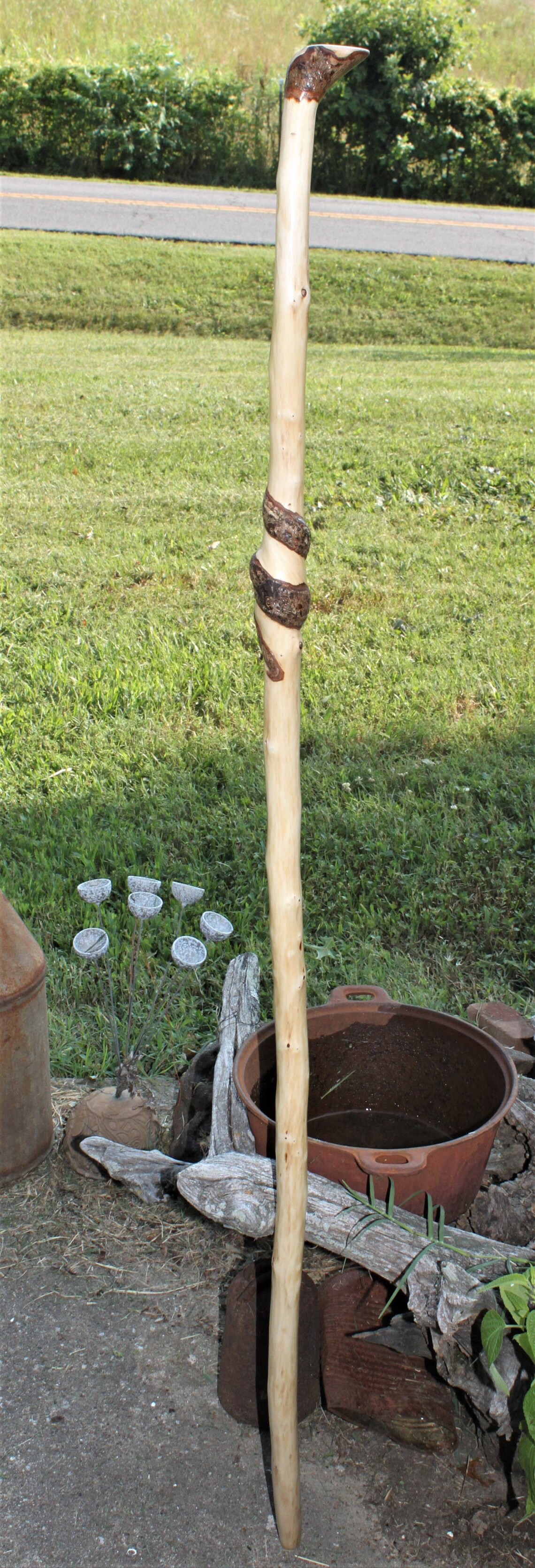 Twisted Sweet Gum Wood Walking Staff Hiking Stick Walking Etsy