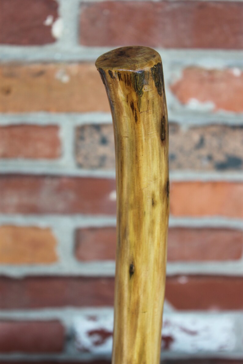 Twisted Sweet Gum Wood Walking Stick Walking Cane Gentlemens Etsy
