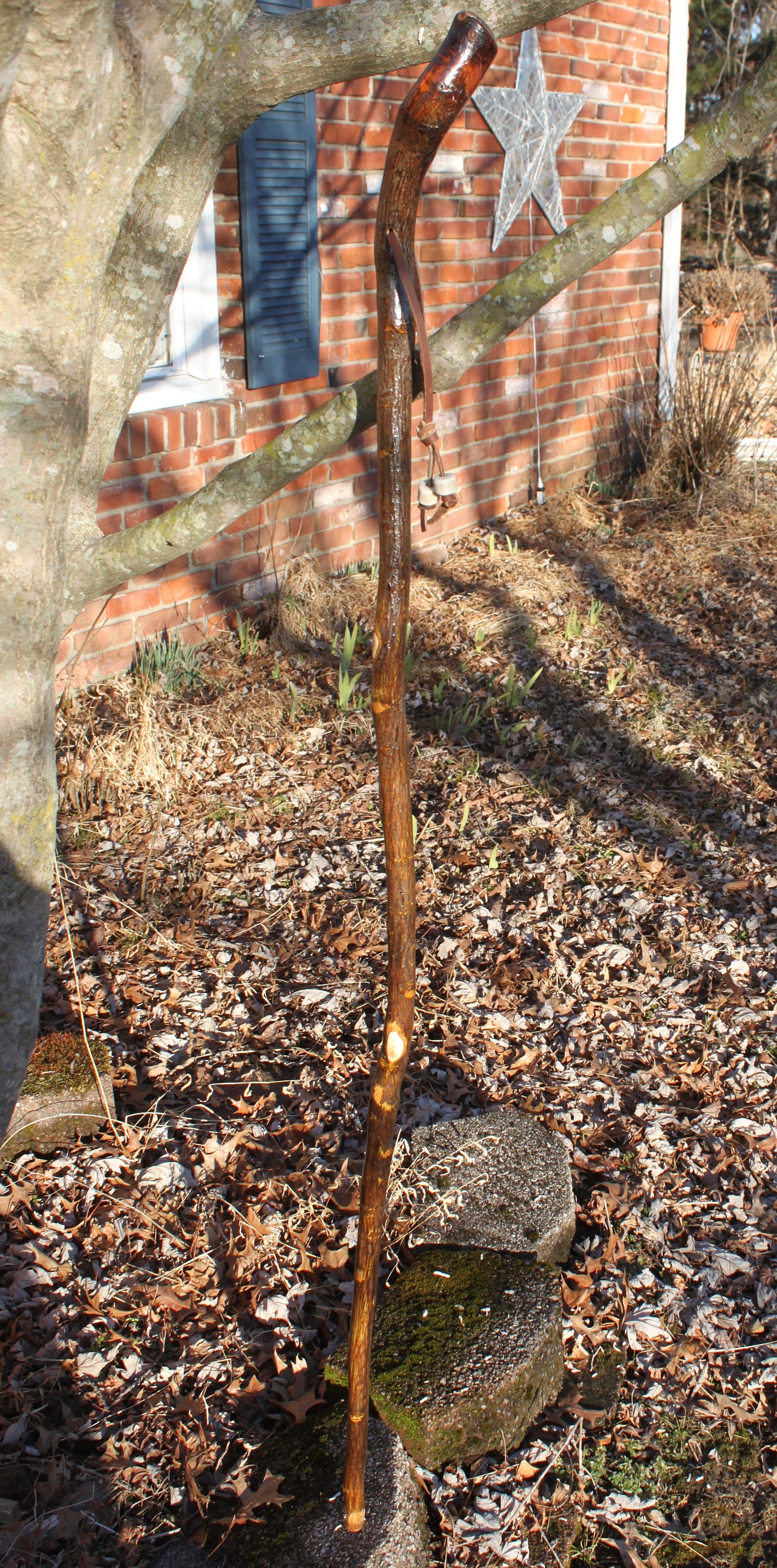 Hickory Wood Staff Walking Stick Hiking Stick Trekking Etsy