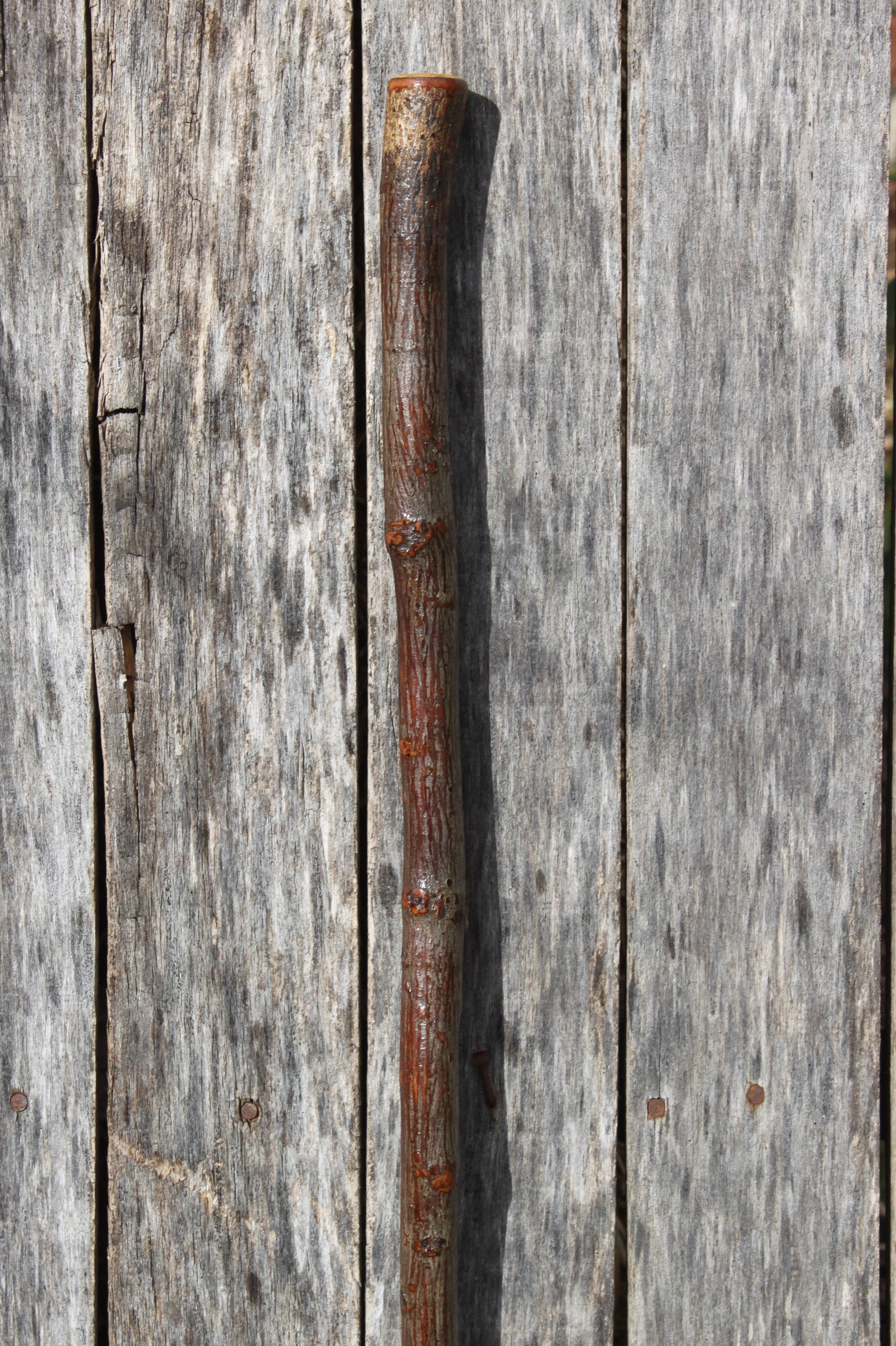 Hickory Wood Walking Stick, Staff, Cane, Hiking Stick, Gentlemens Cane