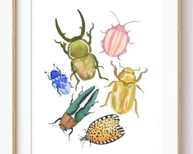 Colorful Beetles Art Print, Watercolor Insect Wall Art, Nature Inspired Bug Illustration, Entomology Decor, Beetle Nursery Art, Kids Room